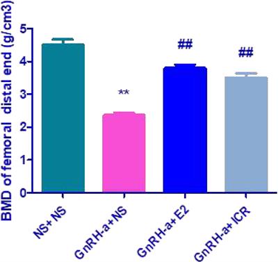 A Preliminary Study on the Effects of Black Cohosh Preparations on Bone Metabolism of Rat Models With GnRH-a-Induced Peri-Menopausal Symptoms